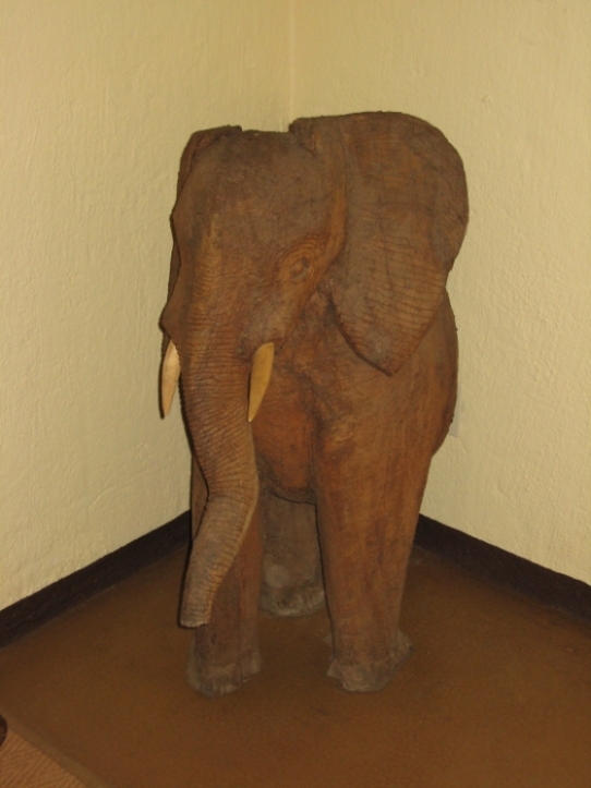 Elefantus
